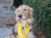 Titan wears special Lion Titan bandana made by Pat Z.December 2004